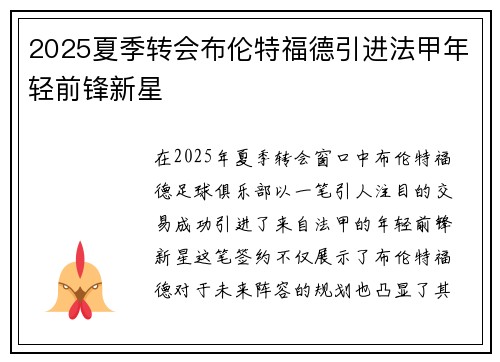 2025夏季转会布伦特福德引进法甲年轻前锋新星