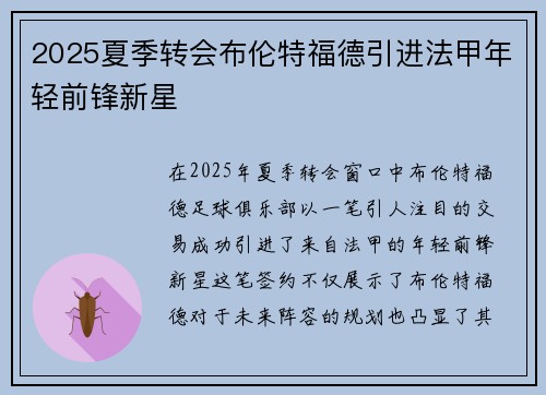 2025夏季转会布伦特福德引进法甲年轻前锋新星